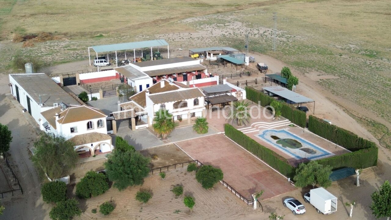 Aerial view of building complex