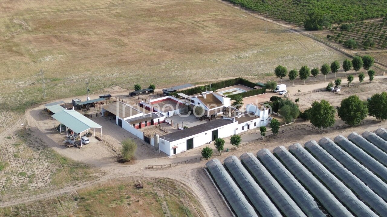 Aerial view of building complex