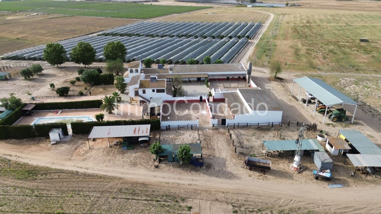 Aerial view of building complex